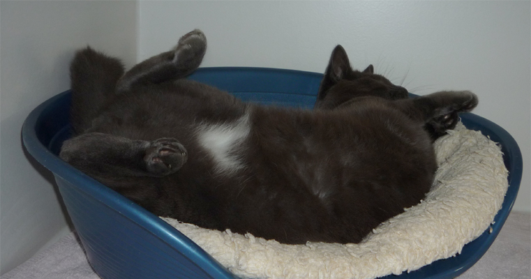 Having a Stretch