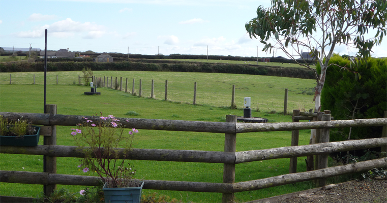 The view from the East Side pens